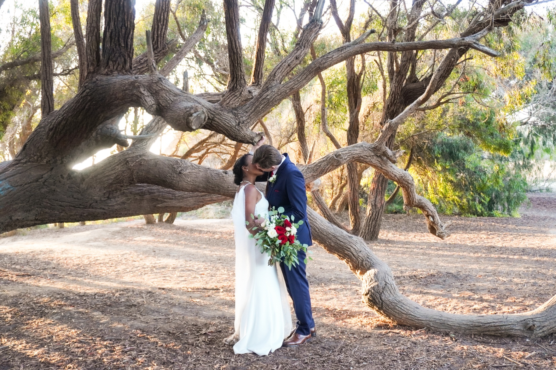 Bride and groom kissing beneath a sculptural oak at Ellwood Butterfly Preserve in Santa Barbara