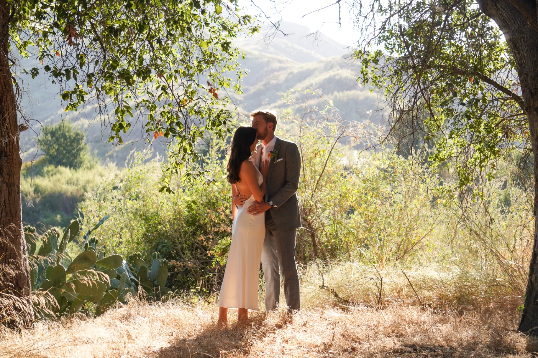Ojai wedding ceremony in an olive grove — Weddings For Us Ojai wedding packages